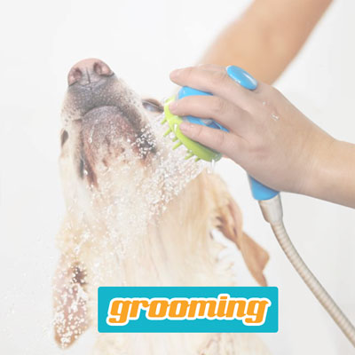 Pet Grooming