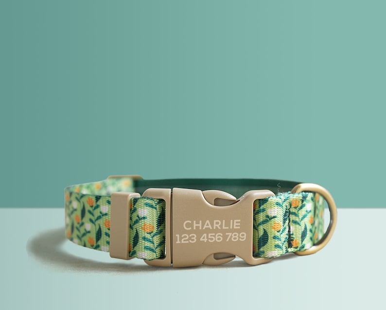 Green Floral Lightweight Dog Collar, Premium Dog Collar or Dog Collar and Leash Set with Matching Bowtie *Detachable