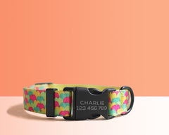 Multi-Colored Lightweight Dog Collar, Personalized Premium Dog Collar or Dog Collar and Leash Set with Matching Bowtie *Detachable
