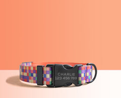 Multi-Colored Lightweight Dog Collar, Personalized Premium Dog Collar or Dog Collar and Leash Set with Matching Bowtie *Detachable