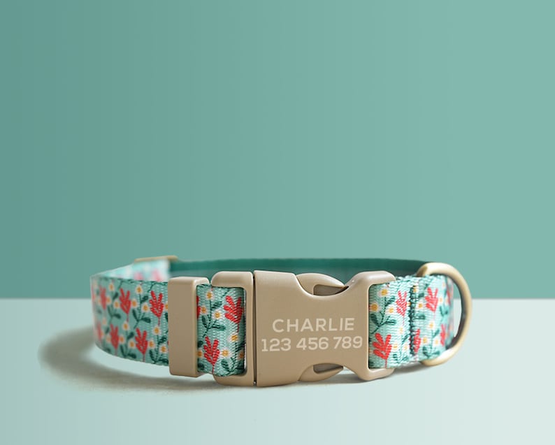 Green Floral Lightweight Dog Collar, Premium Dog Collar or Dog Collar and Leash Set with Matching Bowtie *Detachable