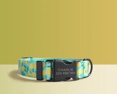 Green Yellow Lightweight Dog Collar, Premium Dog Collar or Dog Collar and Leash Set with Matching Bowtie *Detachable