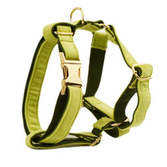 Custom Avocado Velvet Personalized Dog Collar, Matching Dog Bowtie, Dog Flower, Dog Leash, Dog Harness and Dog Poop Bag, Different Combo