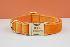 Custom Orange Velvet Personalized Dog Collar, Matching Dog Bowtie, Dog Flower, Dog Leash, Dog Harness & Dog Poop Bag, Different Combo