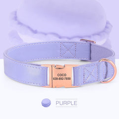 Personalized Engraved Plain Dog Collar Leather Padded with Dog Name Engraved, Dog Collar With Matching Bow Tie