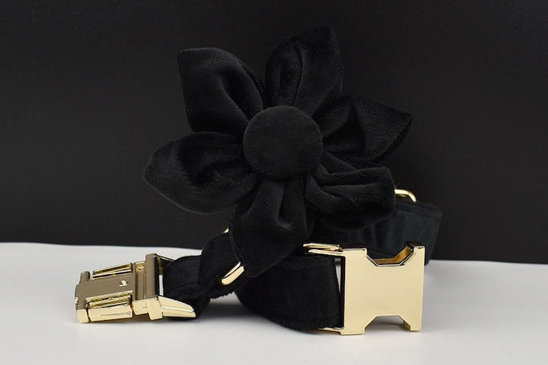 Black Gold Personalized Dog Collar, Matching Dog Harness and Leash Set, Removable Bowtie and Poop Bag Holder