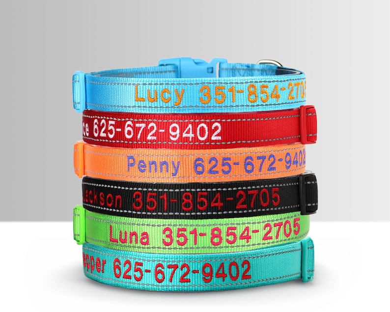 Personalized Reflective Dog Collar, Custom Embroidered Nylon Name for Small to Large Dog, Red, Blue, Green