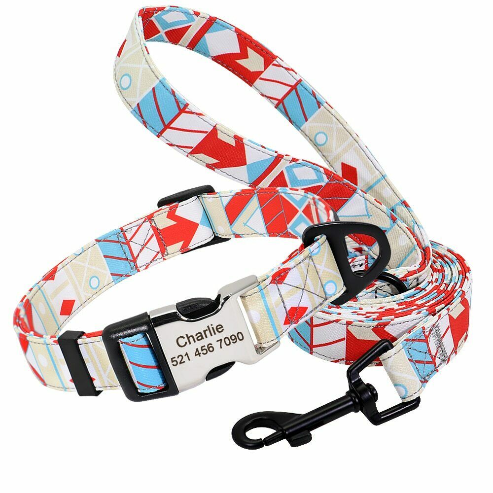 Personalized Nylon Dog Collar or Leash Set