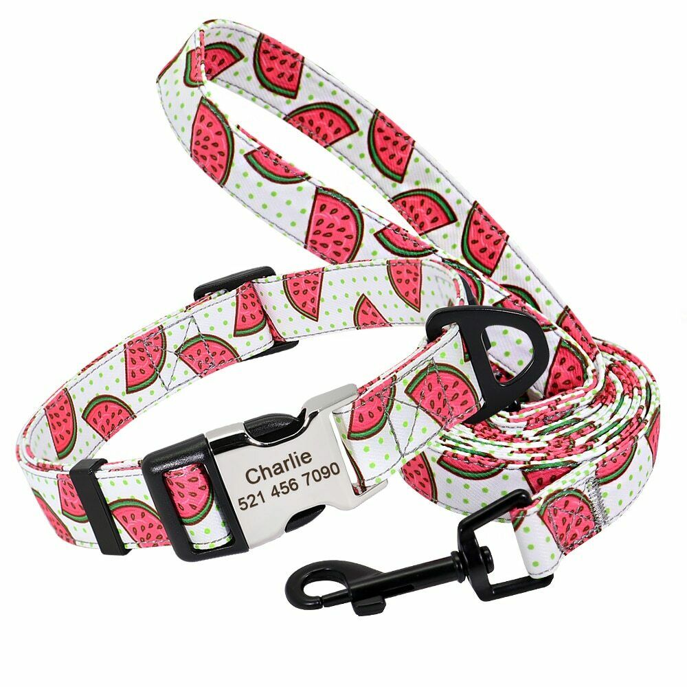 Personalized Nylon Dog Collar or Leash Set