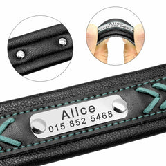Personalized Leather Large Pet Collars
