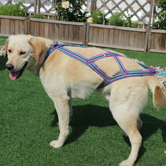 Dog Weight Pulling Sledding Harness