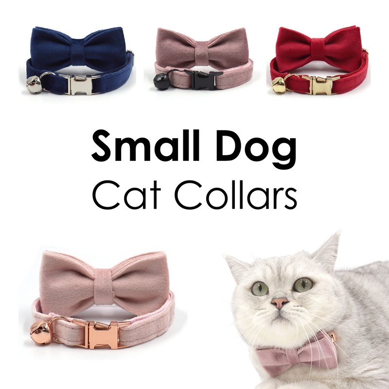 Personalized Thick Velvet cat collar or puppy tiny dog collar with detachable bowtie and name engraving