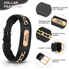 Personalized Laser Engraved Genuine Leather Golden Chain Deco Dog Collar for Small to Large dogs
