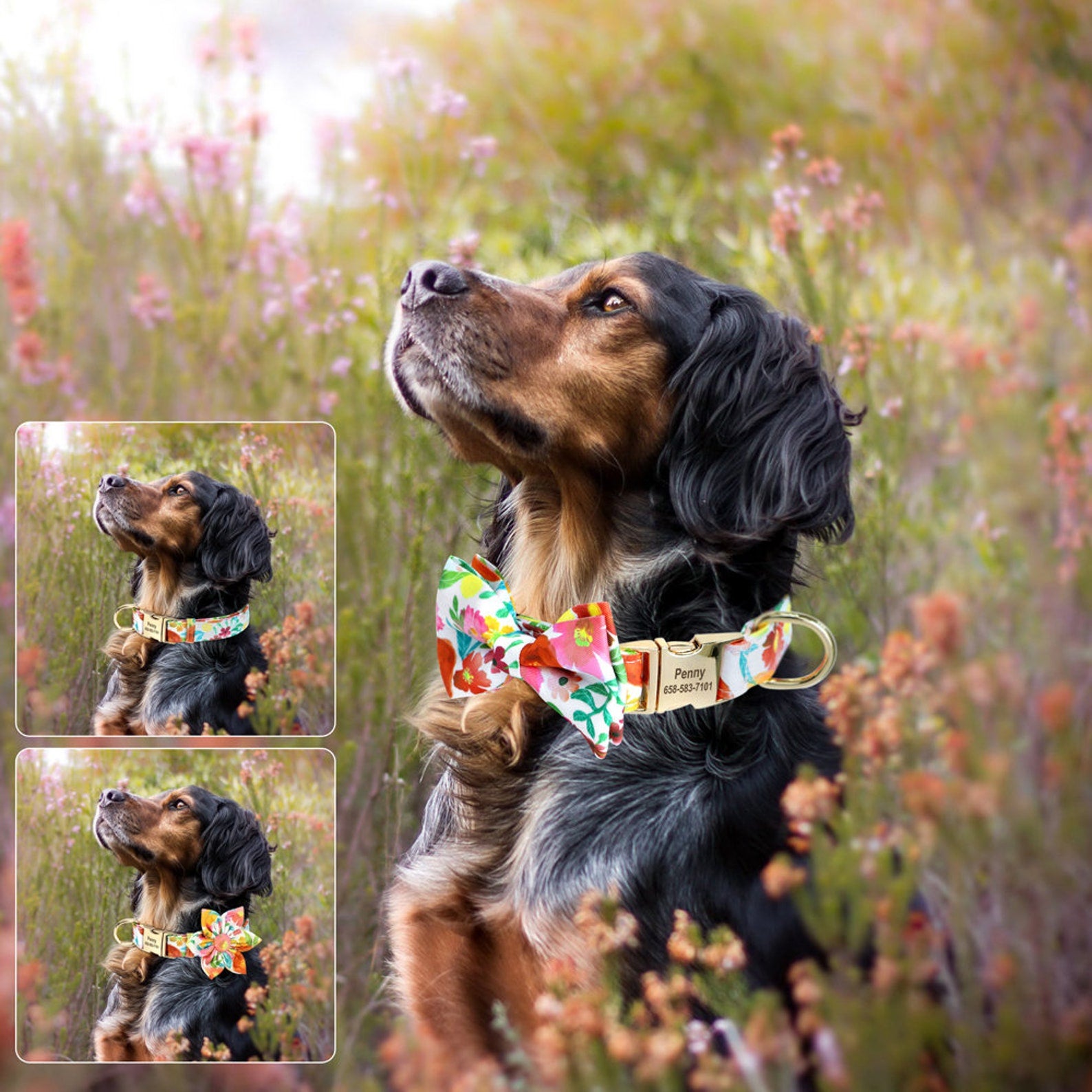 Personalized Engraved Floral, Love Heart, Butterfly, Bee, and Sunflower Dog Collar with removable flower