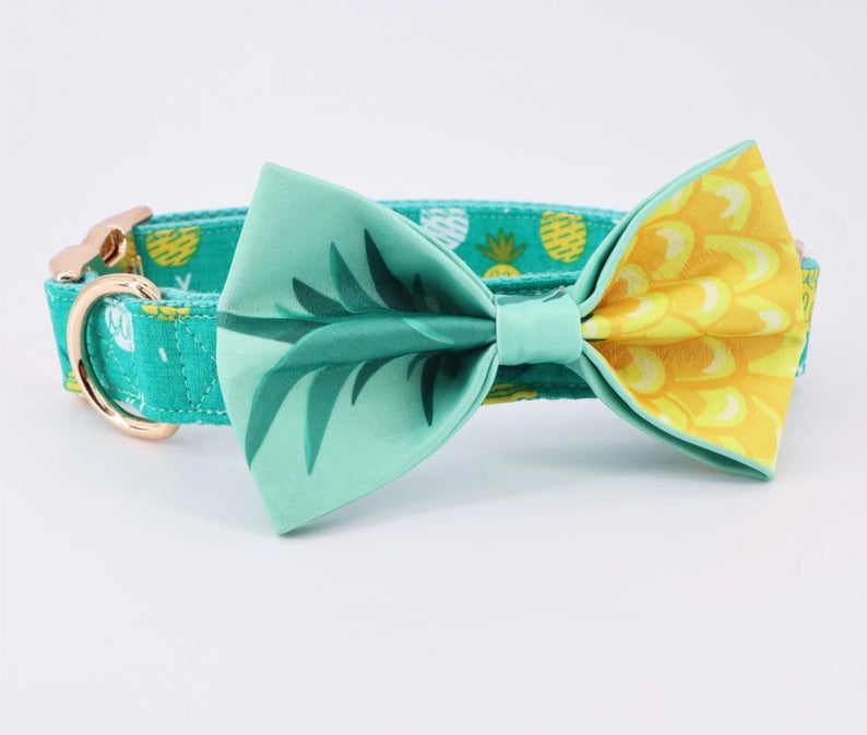 Pineapple Custom Dog Collar lead set