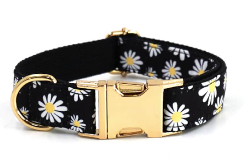 Black Daisy Custom Dog Collar Combo Set