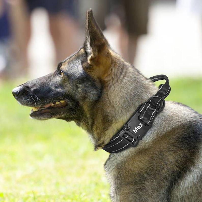 Military Dog Collar With Name Tag