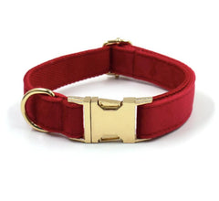 Red and Gold Personalized Dog Matching Combo