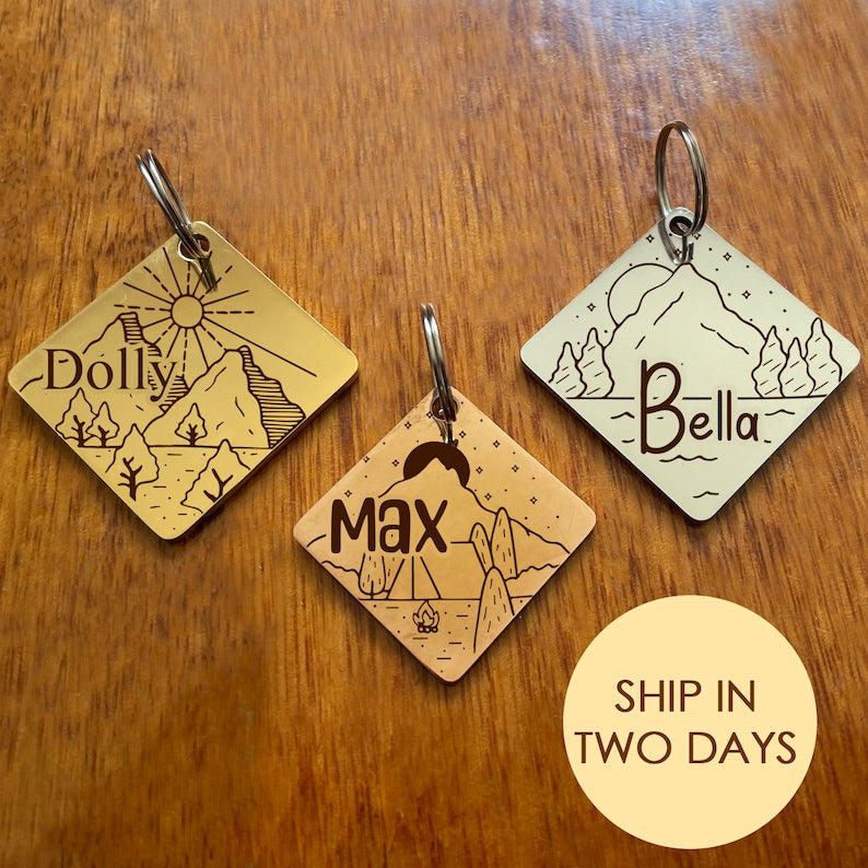 Customized Stainless Steel Pet ID Tag - Personalized with Your Pet's Name and Contact - Front and Back Engraving for Dogs and Cats