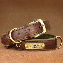 Personalized Engraved PU Leather Dog Collar Soft Padded Dog Collar with name plate, Matching Reflective Leash Available