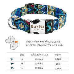 Colorful Abstract Personalized Dog Collar/Leash