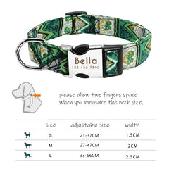 Colorful Abstract Personalized Dog Collar/Leash