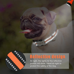 Personalized  Nylon Reflective Dog Collar