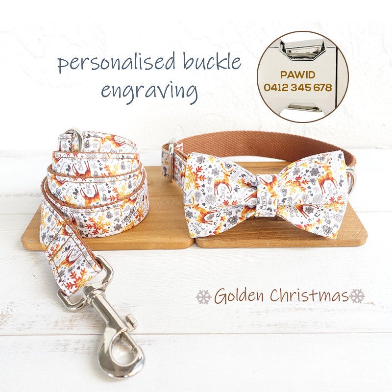 Personalized Laser Engraved Dog Collar Set