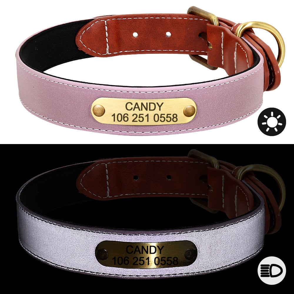 Reflective Engraved Leather Dog Collar