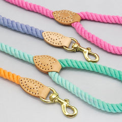 Colorful Handmade Cotton Brided Dog Leash