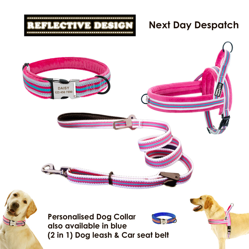 Reflective Personalized Dog Combo Set