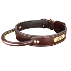 Handle Design Leather Custom Id Dog Collar