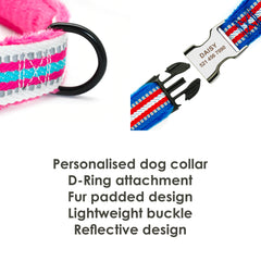 Reflective Personalized Dog Combo Set