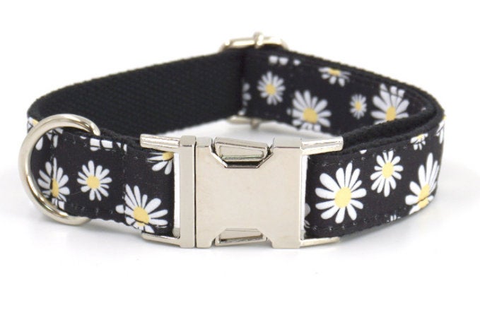 Bow Tie Personalized Black Daisy Dog Collar Set