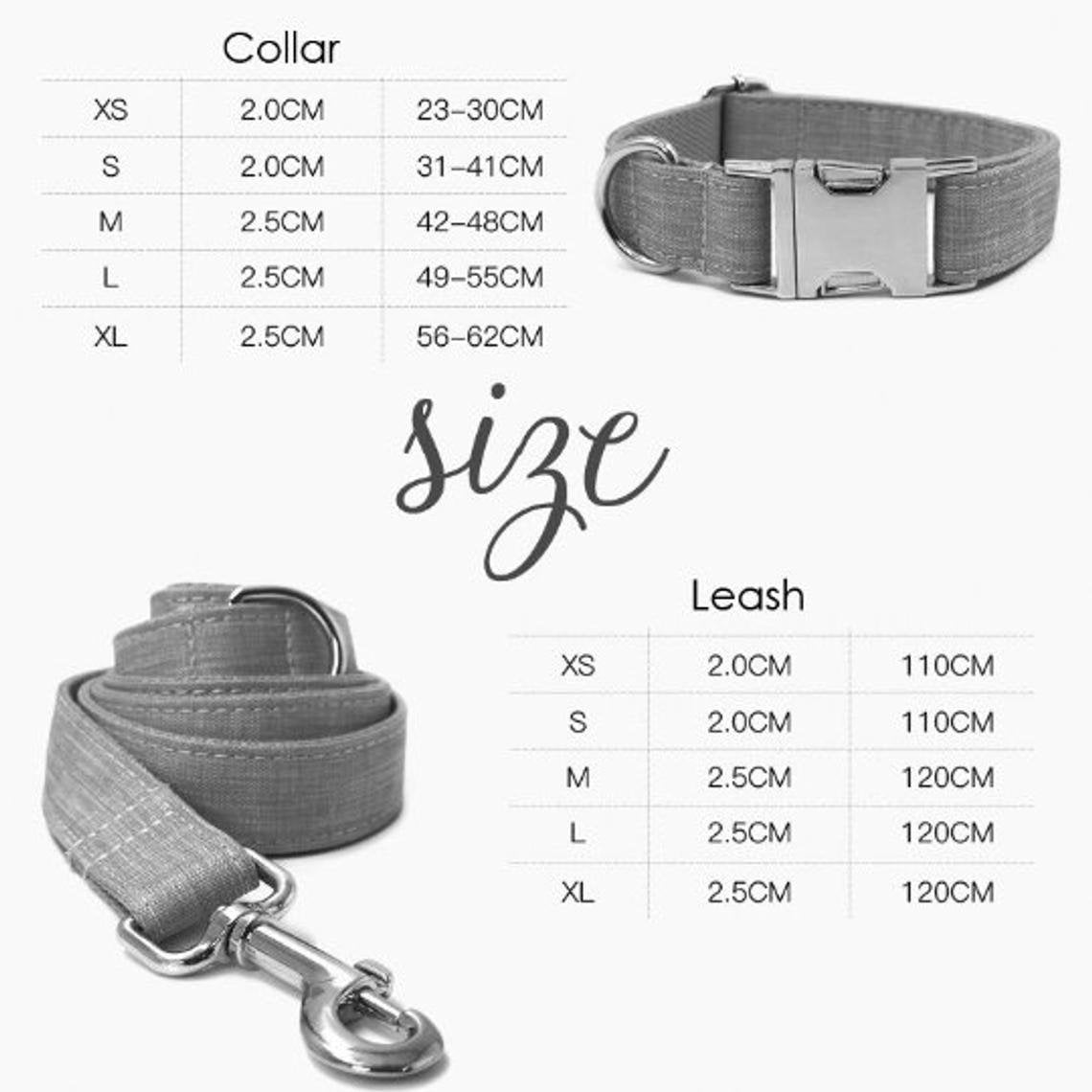 Light Jean Personalized Dog Collar Combo