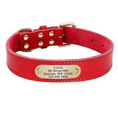 Engraved Tag Genuine Leather Dog Collar