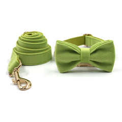 Personalized Engraved Green Matcha Dog Collar in Different Combos