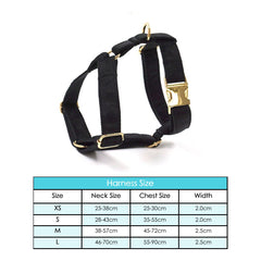 Black Personalized Dog Collar Combo Set