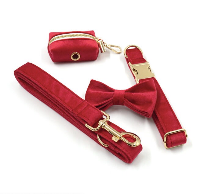 Red and Gold Personalized Dog Matching Combo
