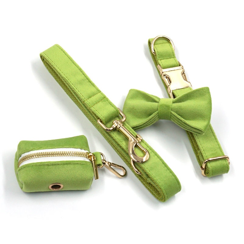 Personalized Engraved Green Matcha Dog Collar in Different Combos