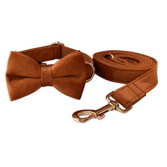 Personalized Engraved Handmade Thick Velvet Camel Color Dog Collar or Dog Collar and Lead Set, Matching Bowtie and Harness Available