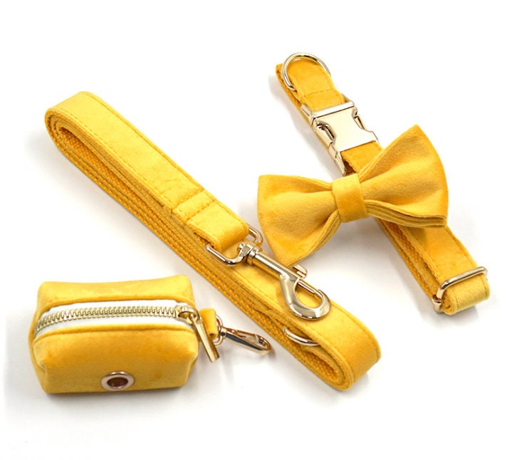 Custom Thick Velvet Yellow Personalized Dog Collar in Different Combos