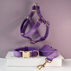 Purple Personalized Dog Collar Combo Set, Matching Bowtie, Leash and Harness