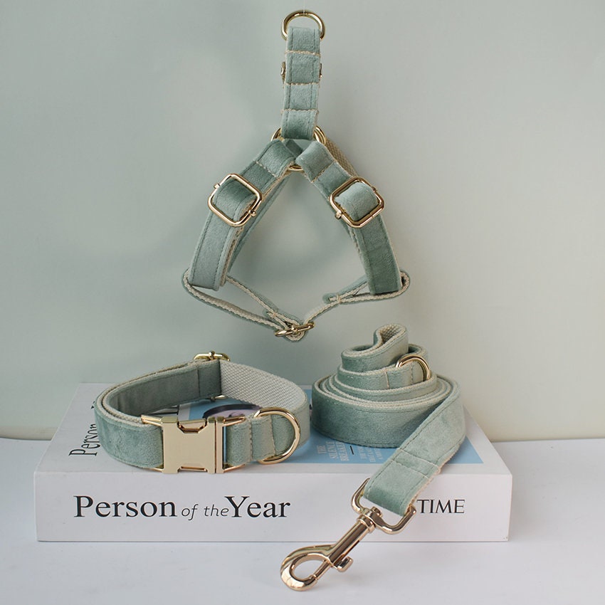 Personalized Engraved Handmade MINT GREEN Thick Velvet Girl or Boy Dog Collar, Harness, and Leash Set with Detachable Matching Bowtie Flower