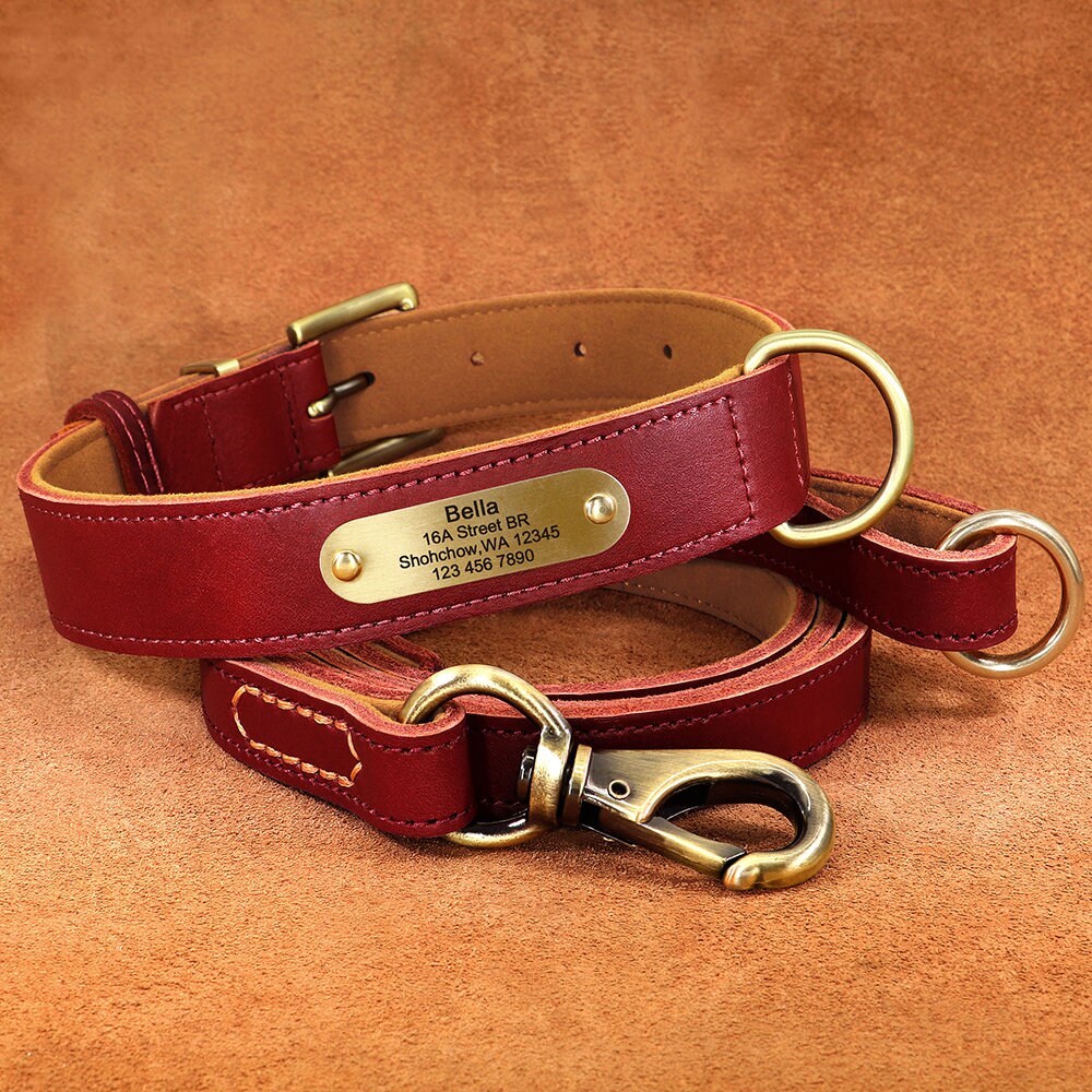 Upgraded Genuine Leather Personalized Dog Collar with Name Plate and Matching Leash