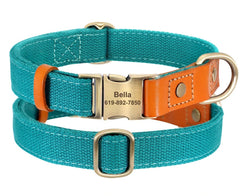 Nylon and Cow Leather Dog Collar with Matching 5ft Leash