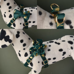 Personalized Engraved Dog Collar with Matching Harness and Leash Set in Emerald Green and Golden Leaves Pattern, Great for all Occasions