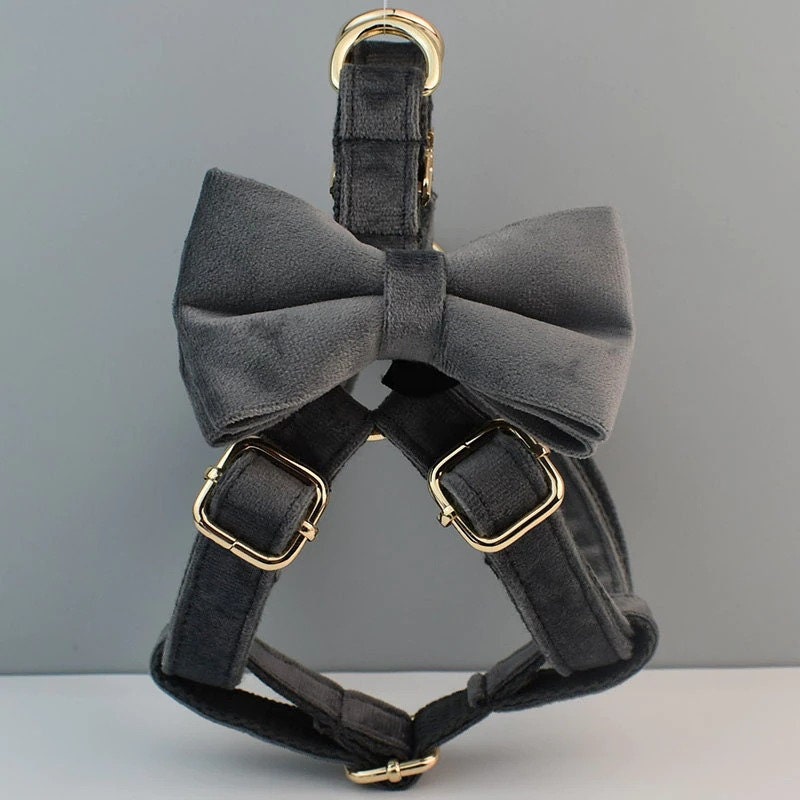 Dark Grey Dog Collar Lead Set, Harness and Removable Bowtie