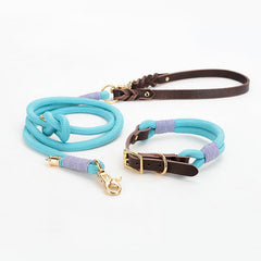 Vivid Collar and P Rope Leash in Blue-Green, Blue, Grey, Red, Green, Aqua Blue, Yellow and Solid Pattern with Leather, Great For All Seasons