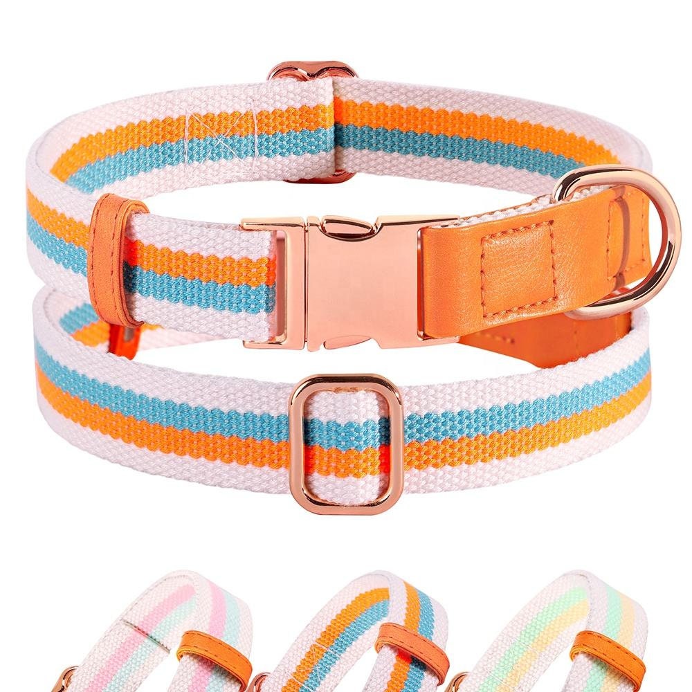 Personalized Engraved Handmade Nylon Leather Dog Collar and Leash Set in Blue, Pink, Green and Colorful Stripe Pattern